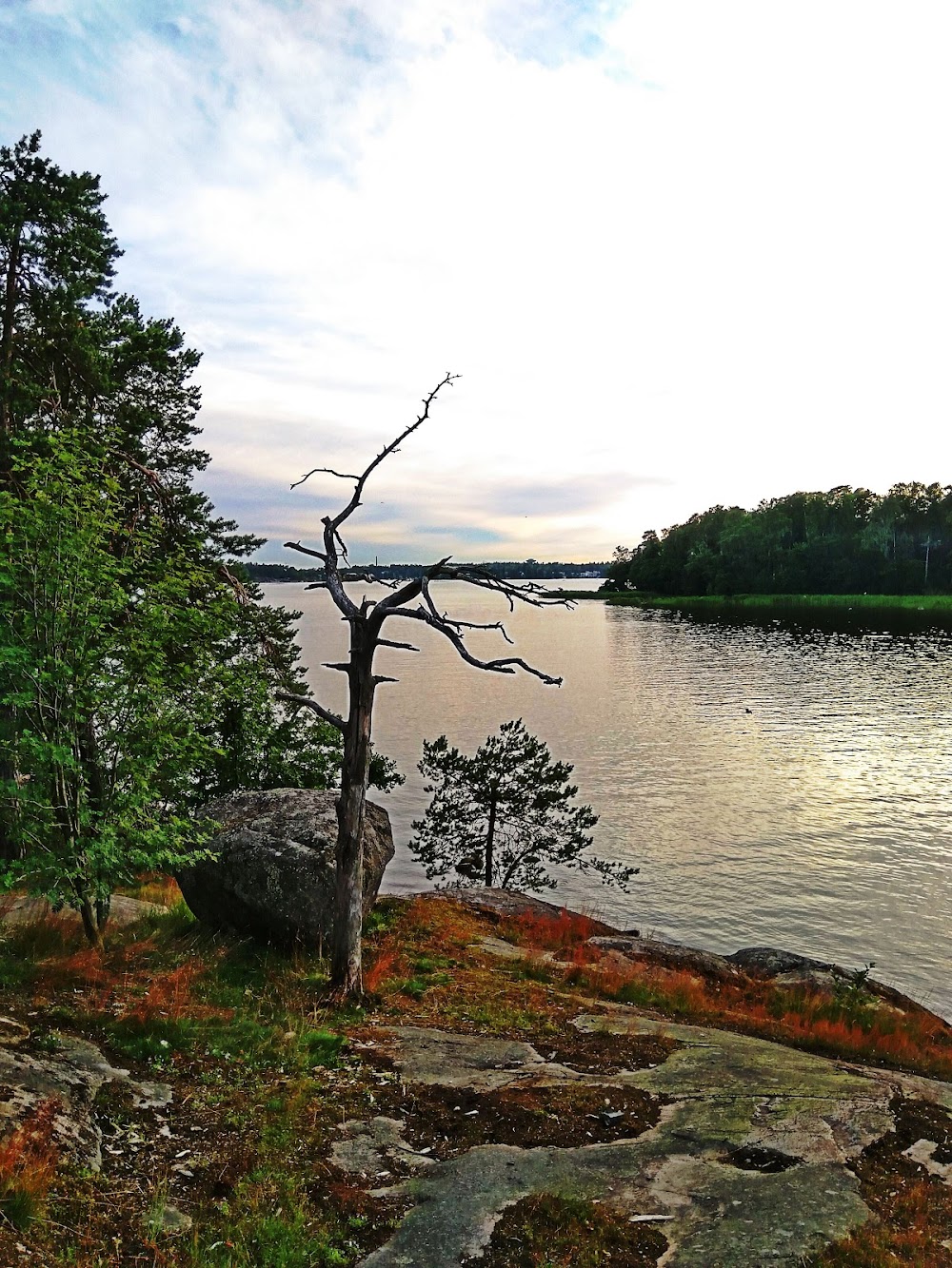 Hanasaari